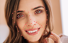 FxPro登录视频标注